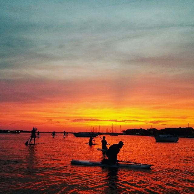 Charleston: Folly Beach Stand Up Paddleboard Dolphin Safari - Key Points
