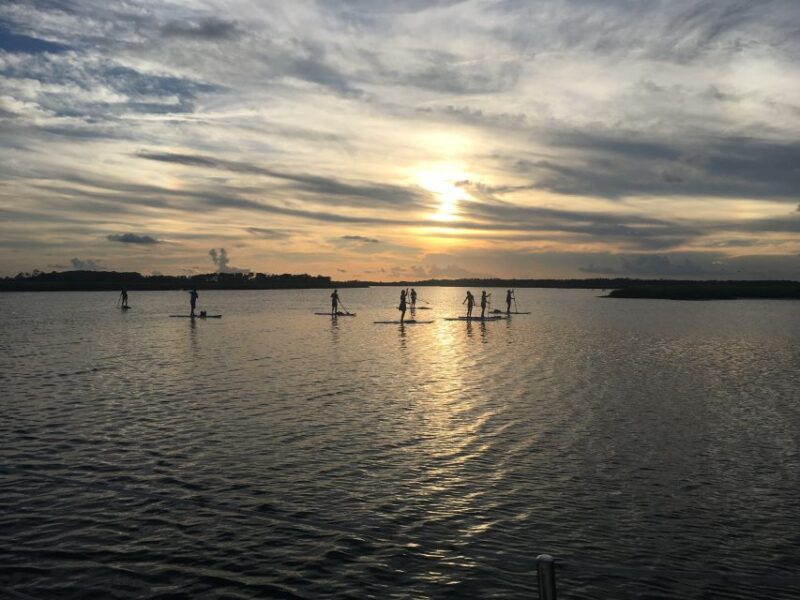 Charleston: Folly Beach Stand Up Paddleboard Dolphin Safari - Customer Feedback and Ratings