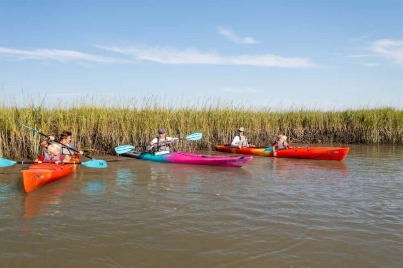 Charleston: Folly River Sunset Kayak Dolphin Safari - The Value of the Experience
