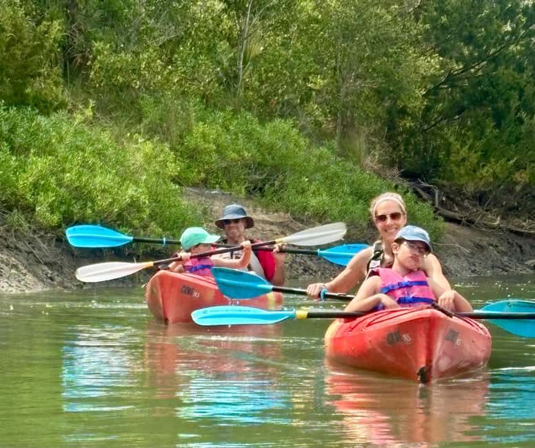 Charleston: Folly River Sunset Kayak Dolphin Safari - Practical Tips for Participants