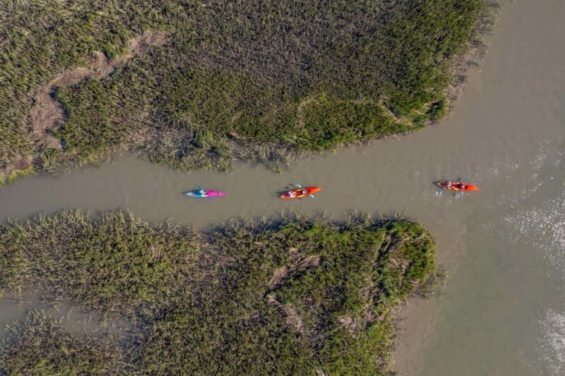 Charleston: Folly River Sunset Kayak Dolphin Safari - The Sum Up: Who Will Love This Tour?