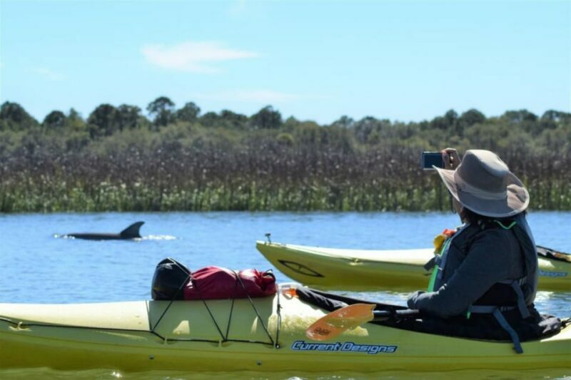 Charleston: Guided 2hr. Kayak Tour with a Tandem or Single - Exploring Charleston’s Kayaking Experience