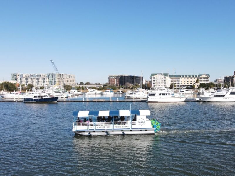 Charleston: Harbor Bar Pedal Boat Party Cruise - Experience and Features