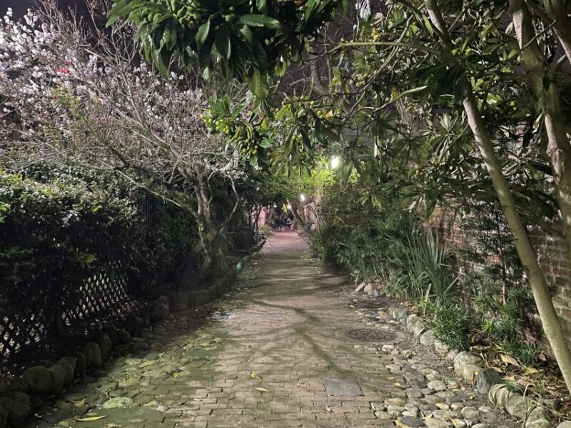 Charleston: Haunted History Tour - Learn to See a Ghost - Social Responsibility