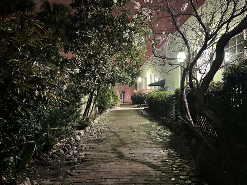 Charleston: Haunted History Tour - Learn to See a Ghost - Duration and Price