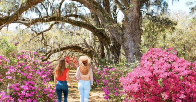 Charleston: Historic City Tour & Magnolia Plantation Combo - Customer Reviews
