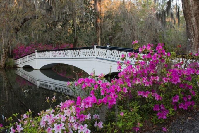 Charleston: Historic City Tour & Magnolia Plantation Combo - What to Bring