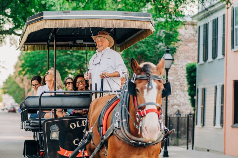 Charleston: Historical Downtown Tour by Horse-drawn Carriage - Tour Experience