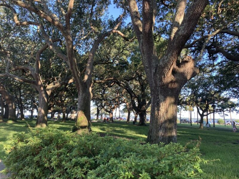 Charleston: Historical Walking Tour With Storytelling - Customer Ratings and Feedback