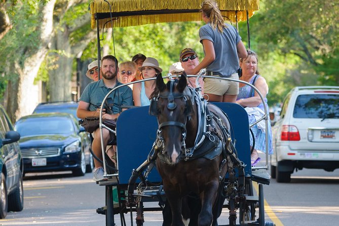 Charleston Horse & Carriage Historic Sightseeing Tour - Duration and Accessibility