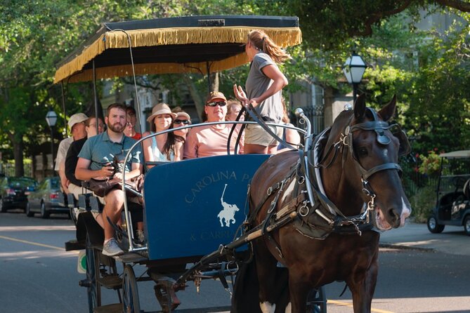 Charleston Horse & Carriage Historic Sightseeing Tour - Engaging With Horses