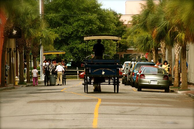 Charleston Horse & Carriage Historic Sightseeing Tour - Customer Reviews and Ratings