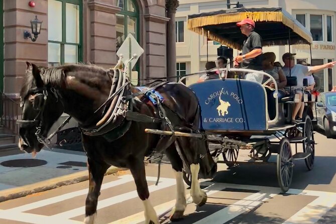 Charleston Horse & Carriage Historic Sightseeing Tour - Positive Visitor Experiences