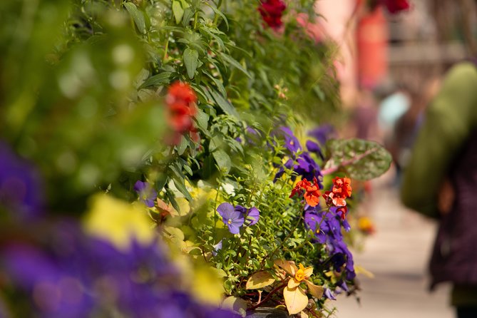 Charleston in a Nutshell Private Tours - Opportunity for Revisits