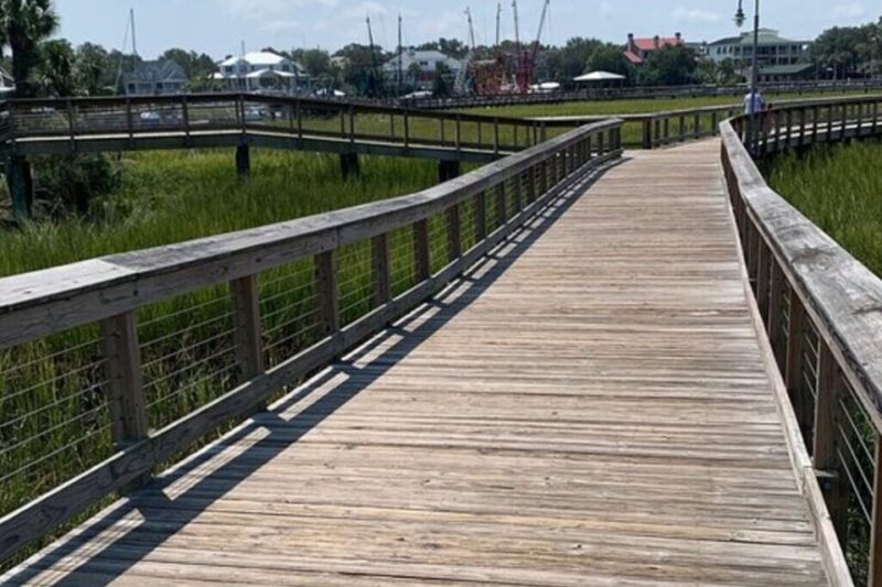 Charleston: Low Country and Shores E-Bike Tour - Key Points