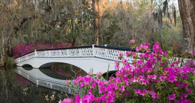 Charleston: Magnolia Plantation Entry & Tour With Transport - What to Bring and Restrictions