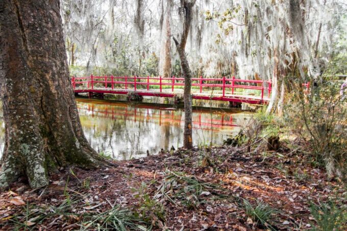 Charleston: Magnolia Plantation Entry & Tour With Transport - Customer Reviews