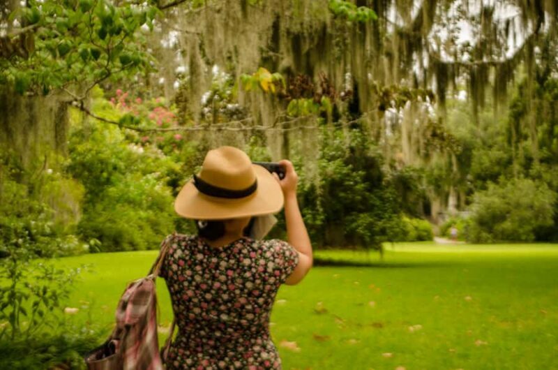 Charleston: Magnolia Plantation with Transport and City Tour - Key Points