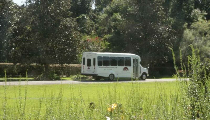 Charleston: Magnolia Plantation with Transport and City Tour - An In-Depth Look at the Tour Experience