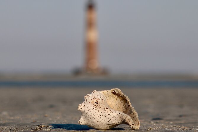 Charleston Marsh Eco Boat Cruise With Stop at Morris Island Lighthouse - Meeting and End Points