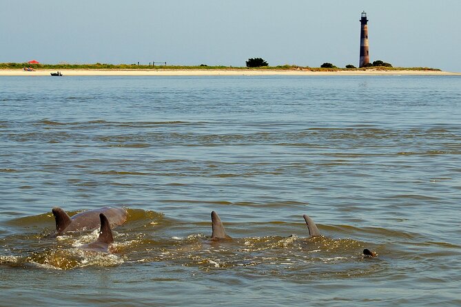 Charleston Marsh Eco Boat Cruise With Stop at Morris Island Lighthouse - Traveler Reviews