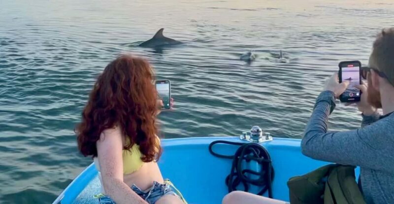 Charleston: Morris Island Dolphin Cruise with Beachcombing - An Authentic Coastal Experience