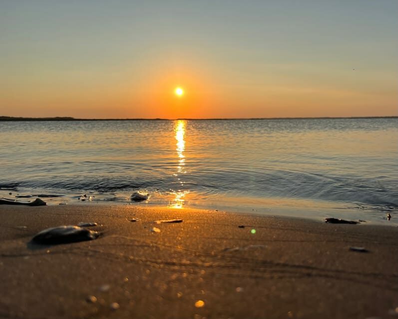Charleston: Morris Island Dolphin Cruise with Beachcombing - The Sum Up: Who Is This Cruise Best For?