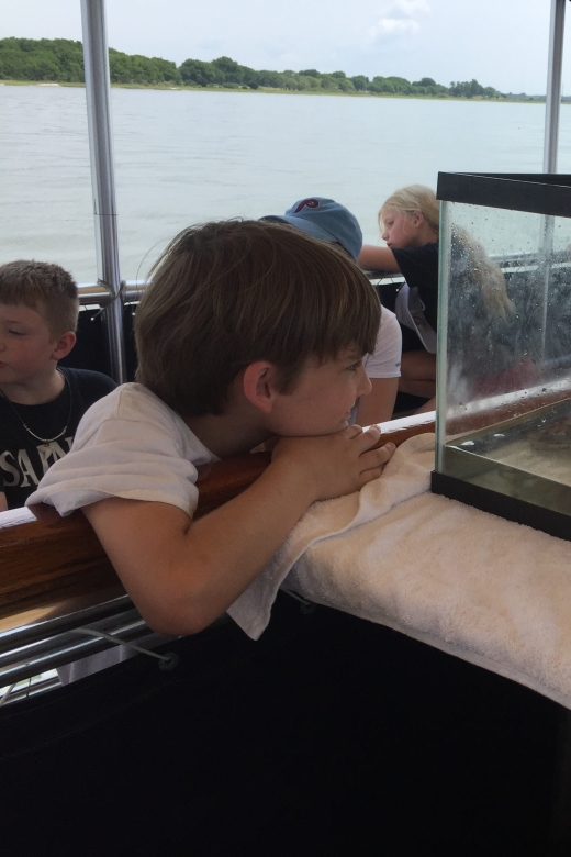 Charleston: Morris Island Nature Boat Tour With Naturalist - Experience Highlights