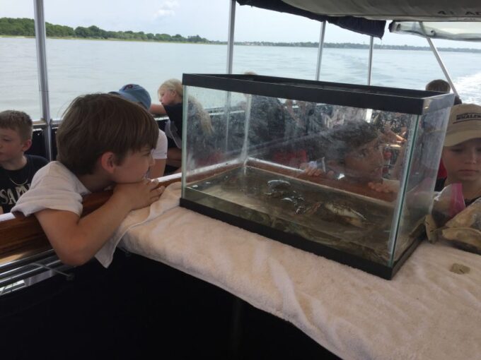 Charleston: Morris Island Nature Boat Tour With Naturalist - Expert Commentary and Activities
