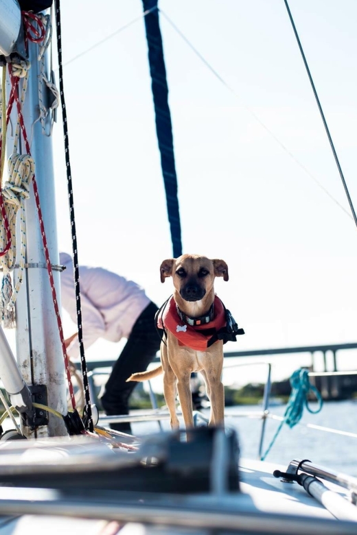 Charleston: Private BYOB Luxury Sailing Cruise - Amenities and Inclusions