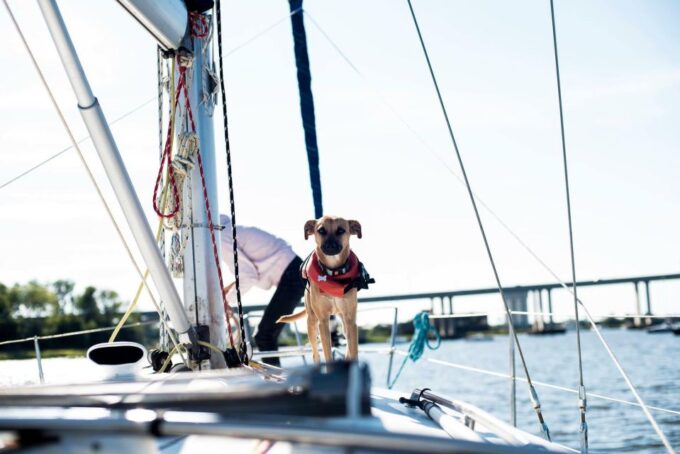 Charleston: Private BYOB Luxury Sailing Cruise - Frequently Asked Questions