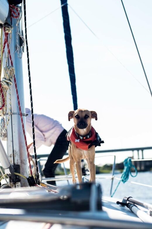 Charleston: Private BYOB Luxury Yacht Cruise - The Itinerary in Detail: What Will You See and Do?