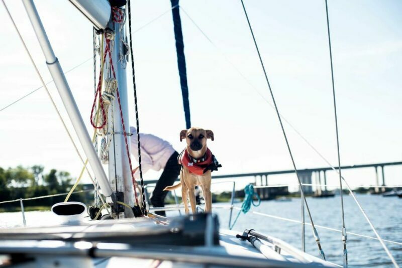 Charleston: Private BYOB Luxury Yacht Cruise - Authentic Experiences and Genuine Value