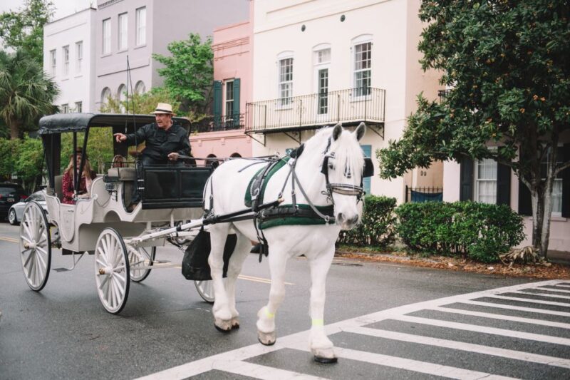 Charleston: Private Carriage Ride - Customer Ratings and Reviews
