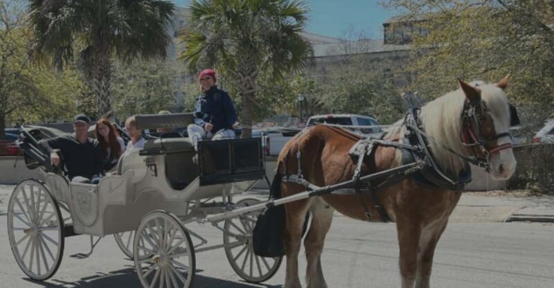 Charleston, SC: Private Haunted History Carriage Ride - Stories of Local Hauntings