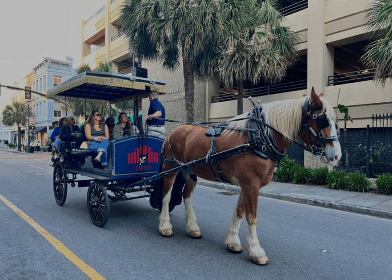 Charleston, SC: Private Haunted History Carriage Ride - Cobblestone Streets at Sunset