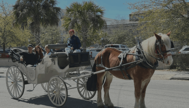 Charleston, SC: Private Haunted History Carriage Ride - Personalized Guided Tour Experience