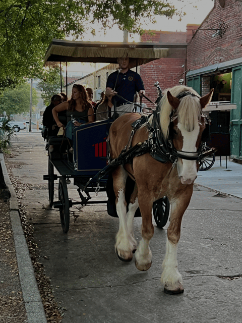 Charleston, SC: Private Haunted History Carriage Ride - Visiting Haunted Sites and Cemeteries