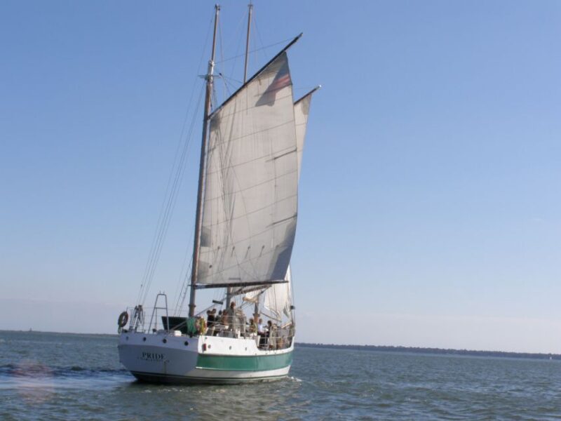 Charleston: Schooner Sailing Harbor Tour & Dolphin Watch - Key Points
