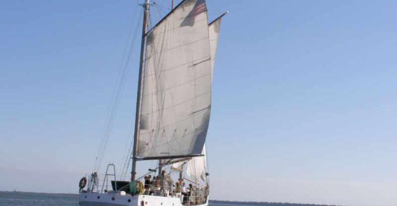 Charleston: Schooner Sailing Harbor Tour & Dolphin Watch - Activity Highlights