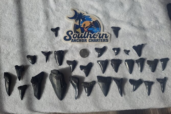 Charleston Shark Tooth and Fossil Searching Island Drop off - Pricing Details