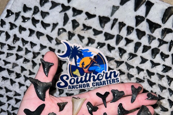 Charleston Shark Tooth and Fossil Searching Island Drop off - Accessibility and Participation Guidelines