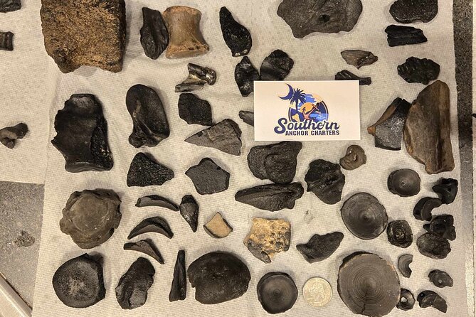 Charleston Shark Tooth and Fossil Searching Island Drop off - Frequently Asked Questions