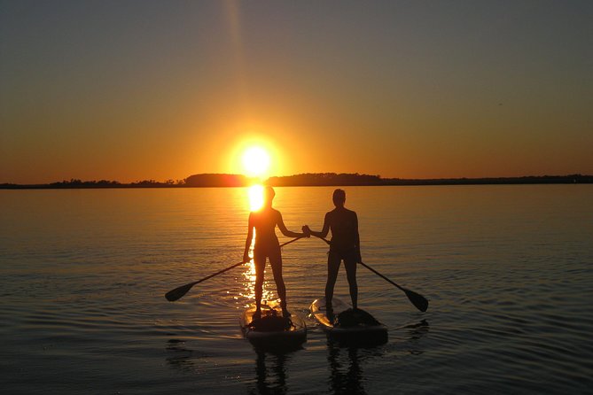 Charleston Stand-Up Paddleboard Eco Tour - Meeting and Pickup