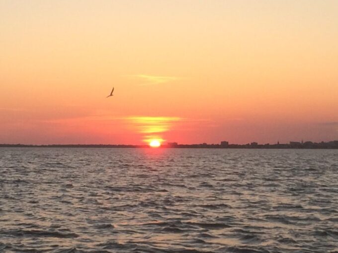 Charleston: Sunset Harbor Cruise - Photography Opportunities