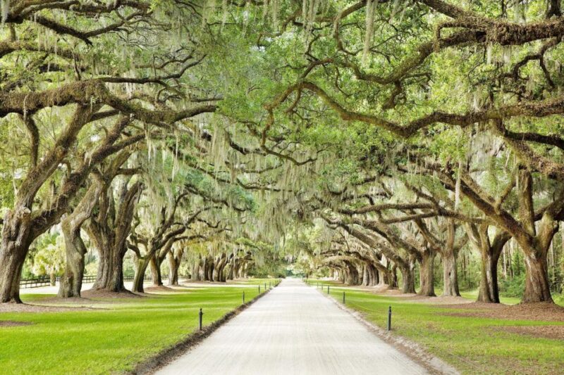 Charleston: Tour Pass With 40+ Attractions - Mobile Pass Features