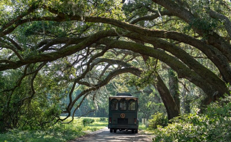 Charleston: Wadmalaw Island Wine Tasting and Tea Garden Trip - Inclusions