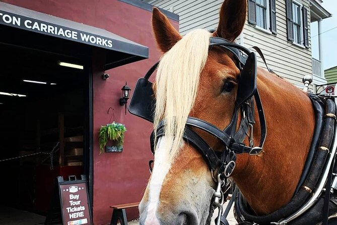 Charlestons Historic Residential Horse and Carriage Tour - Meeting Location