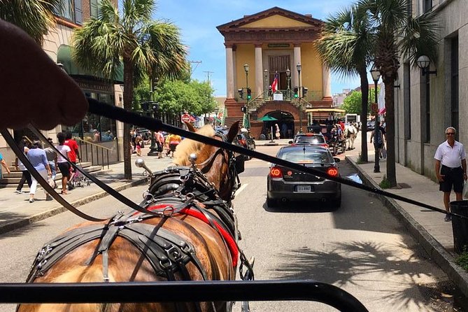 Charleston's Old South Carriage Historic Horse & Carriage Tour - Accessibility and Policies