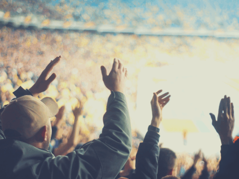 Charlotte: Panthers Football Game at Bank of America Stadium - Game Day Experience